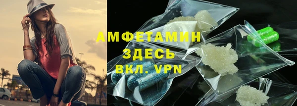 индика Рославль
