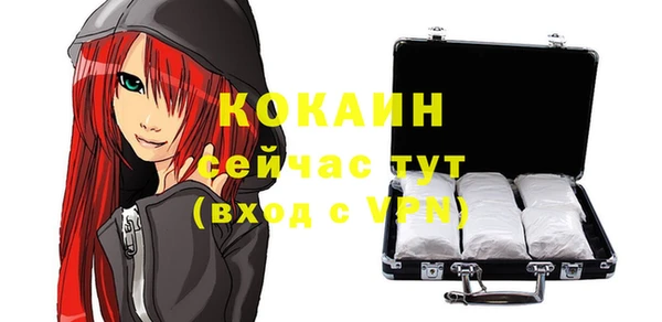 гашик Ростов