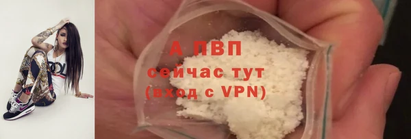 индика Рославль