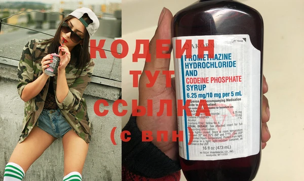 индика Рославль