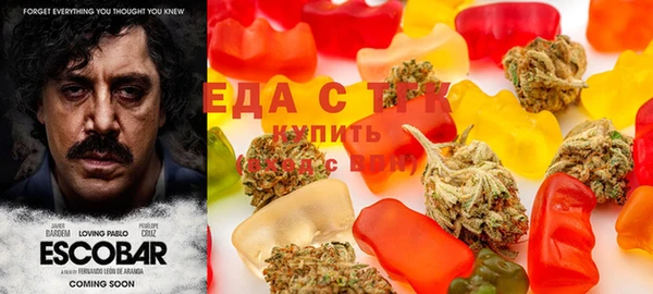 индика Рославль