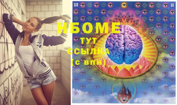 индика Рославль